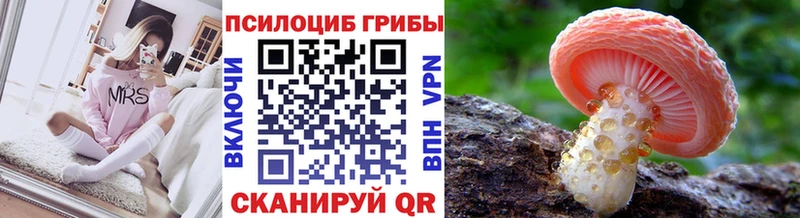 МЕГА ссылки Вяземский Псилоцибиновые грибы мухоморы маркетплейс официальный сайт продажа наркотиков